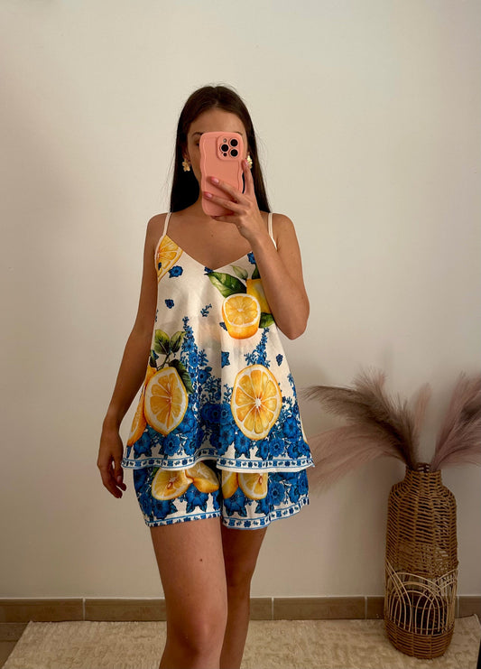 Ensemble citronniers méditerranéens